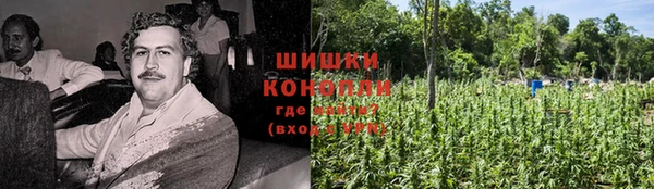 СК Михайлов