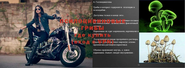 прущий лед Абаза