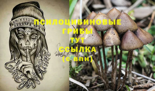 прущий лед Абаза