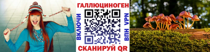 Псилоцибиновые грибы Magic Shrooms  blacksprut сайт  Тимашёвск  сколько стоит 